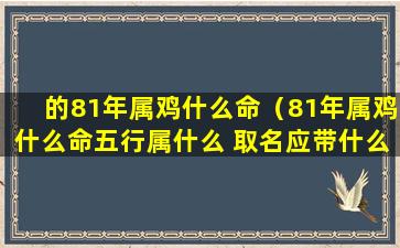 的81年属鸡什么命（81年属鸡什么命五行属什么 取名应带什么的）